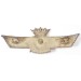 OC396.)WWII SPANISH CIVIL WAR PILOT'S WING