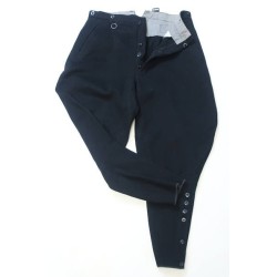 G246.)NSDAP POLITICAL RIDING TROUSERS
