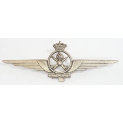 RD372.)WWII ITALIAN AIR FORCE AERIAL GUNNER'S WING