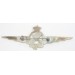 RD372.)WWII ITALIAN AIR FORCE AERIAL GUNNER'S WING