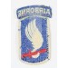 US464.)VIETANAM WAR ERA 173rd AIRBORNE BRIGADE SLEEVE PATCH