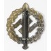 G427.)SA SPORTS BADGE IN BRONZE