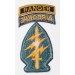 US578.)VIETNAM WAR US ARMY SPECIAL FORCES SLEEVE PATCH