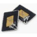 RD489.)SS-VT OFFICER'S TOTENKOPF COLLAR TABS