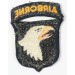 US686.)VIETNAM WAR ERA 101st AIRBORNE SLEEVE PATCH