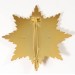 RD756.)EAGLE ORDER BREAST STAR