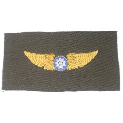 RD494.)WWII NATIONALIST CHINESE PILOT'S WING
