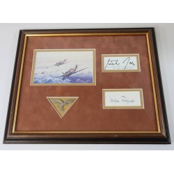 G786.)FRAMED LUFTWAFFE EAGLE WITH PRINT AND SIGNATURES