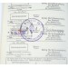 G910.)HJ SPORTS PROFICIENCY BOOK AND DOCS NAMED TO SAME YOUTH