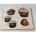 G951.)REFERENCE BOOK: SARIS' HEADGEAR OF AH'S GERMANY