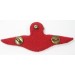 OC1102.)VIETNAM WAR THAI MASTER PARATROOPER'S WING