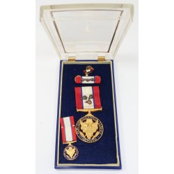 US1007.)KOREAN WAR ERA US ARMY DISTINGUISHED SERVICE MEDAL