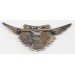 US1027.)WWII US NAVY COMBAT AIR CREW WING WITH THREE BATTLE STARS US1027.)WWII US NAVY COMBAT AIR CREW WING WITH THREE BATTLE STARS