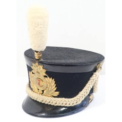 US1013.)CIRCA 1890 STATE OF MARYLAND NATIONAL GUARD SHAKO